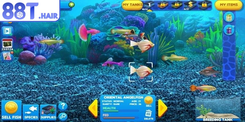 Bắn cá đổi thưởng là siêu phẩm làm mưa làm gió trên thị trường giải trí