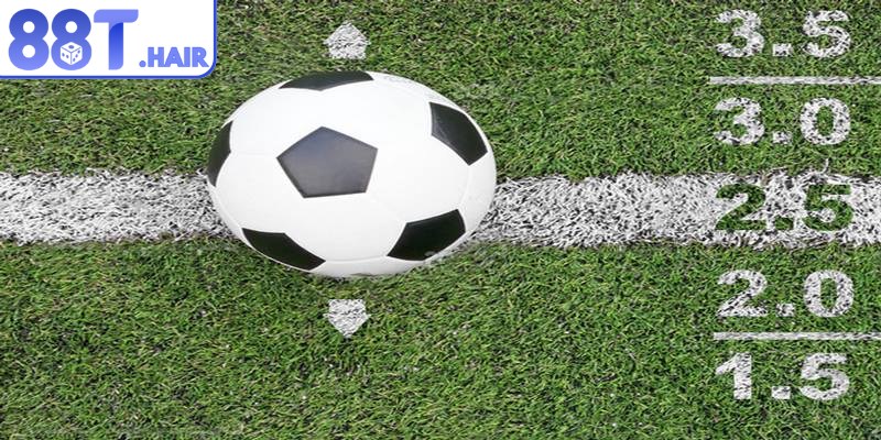 Khái niệm cơ bản về kèo bóng đá tài xỉu