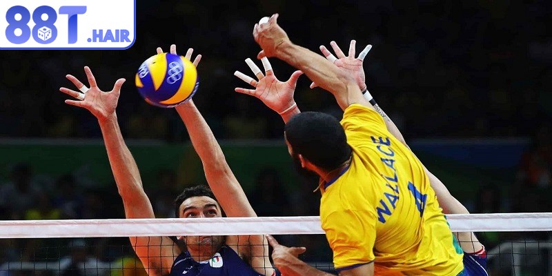 Cá cược bóng chuyền là hình thức giải trí trực tuyến vô cùng hấp dẫn