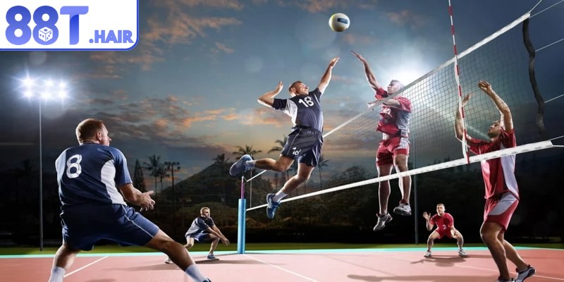 Bật mí kinh nghiệm cá cược bóng chuyền hiệu quả