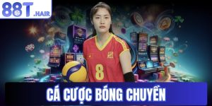 Cá cược bóng chuyền