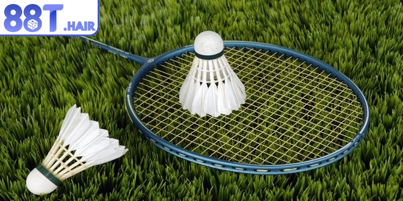 Đặc điểm riêng biệt của cá cược cầu lông