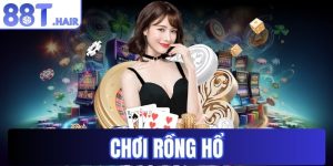 Chơi rồng hổ